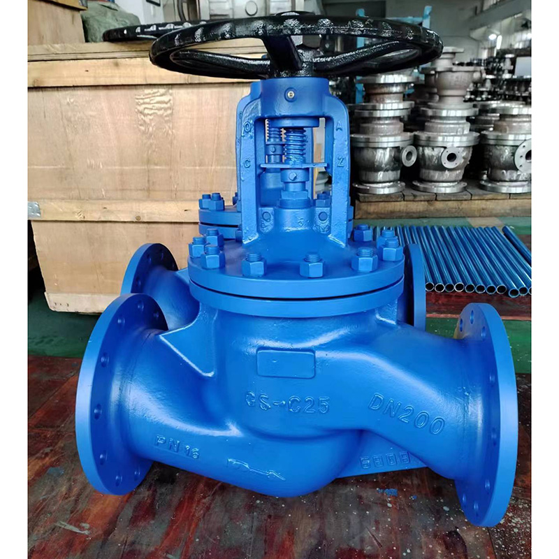 Bellows Globe Valve