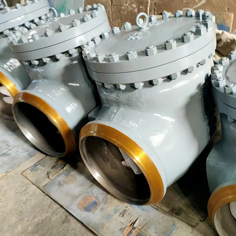 CS BW High Pressure Check Valve
