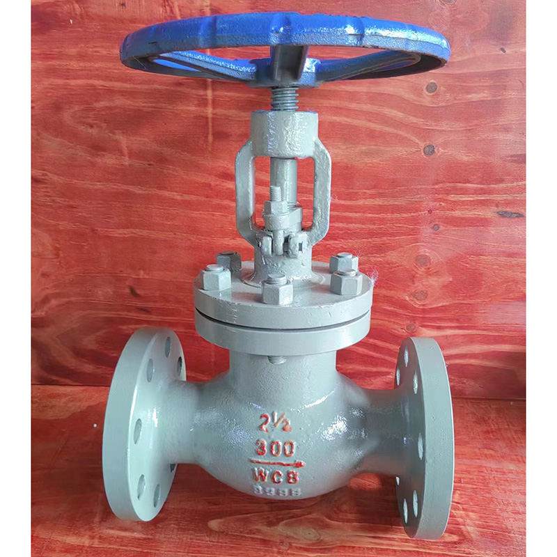 CS Globe Valve
