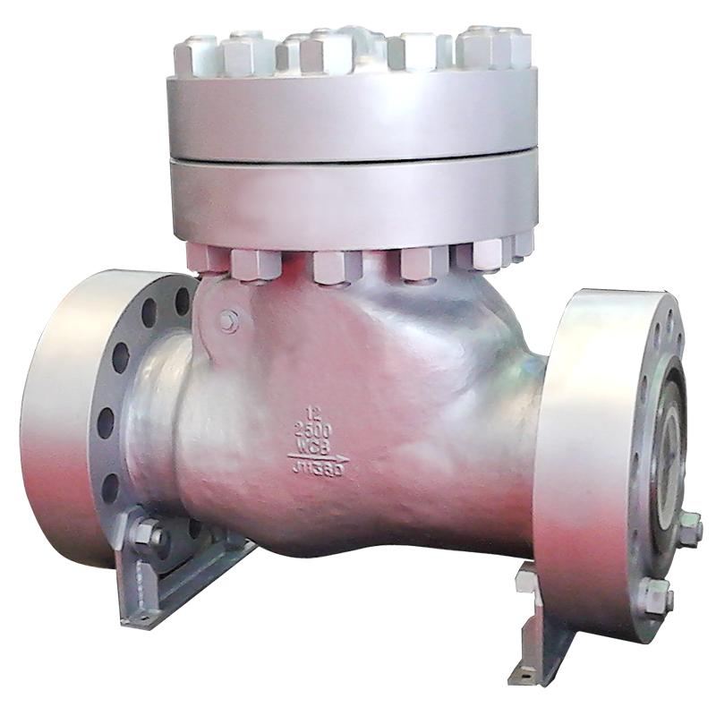 CS Swing Check Valve