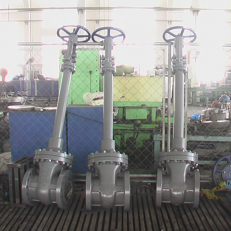 Cryogenic Gate Valve