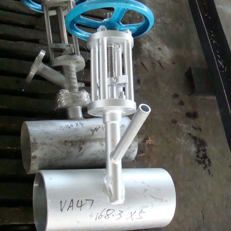 Discharge Valve