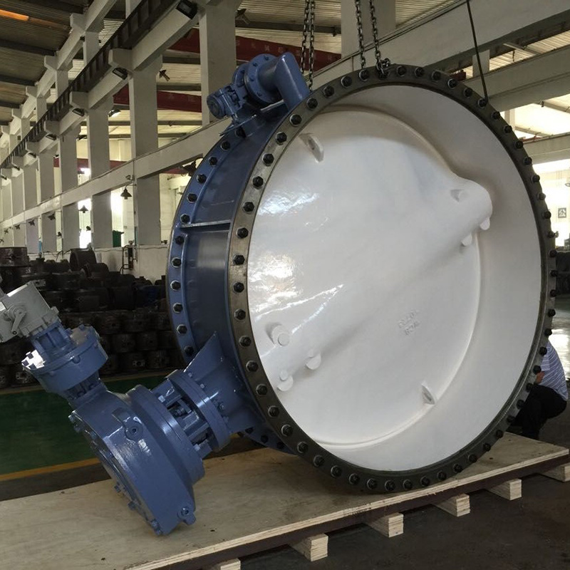 Lining Butterfly Valve