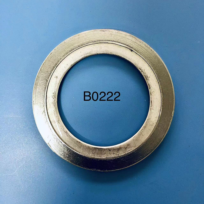 Metal Graphite Gasket