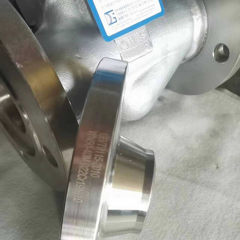 SS Companion Flange