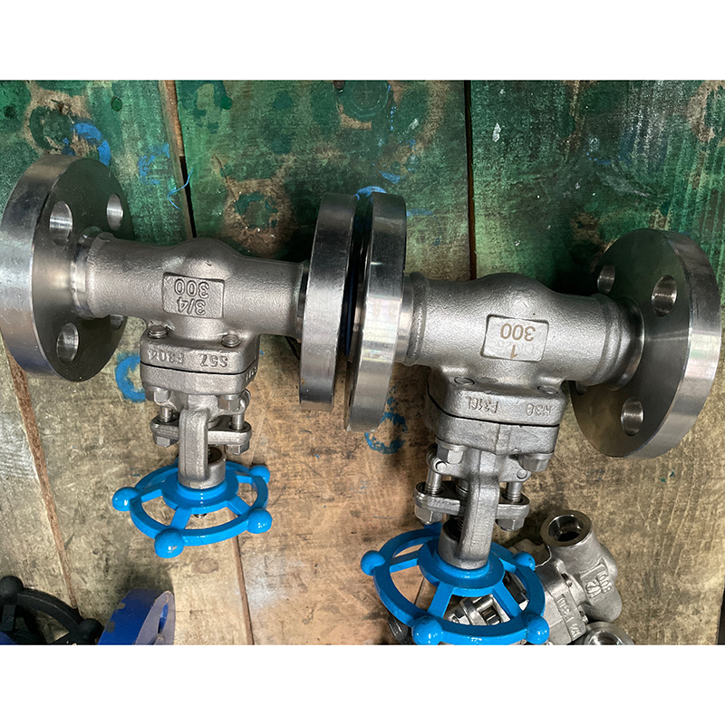 SS RF Gate Valve
