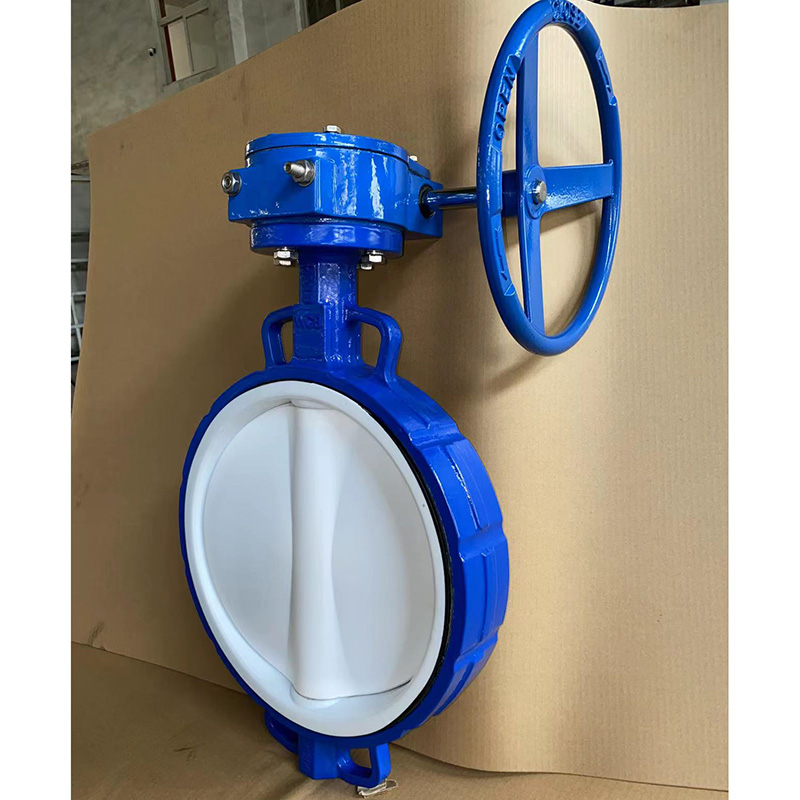 Soft Seat Butterfly Valve