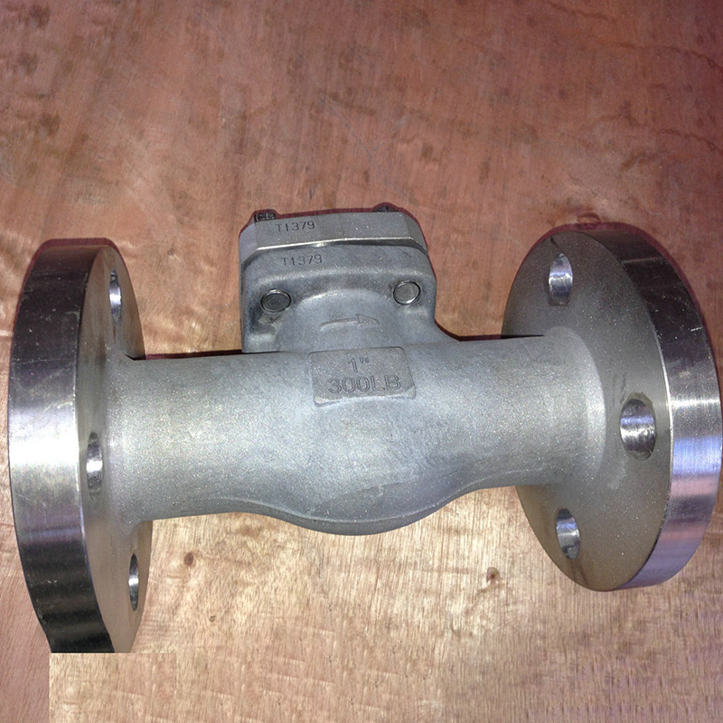 Titanium Swing Check Valve