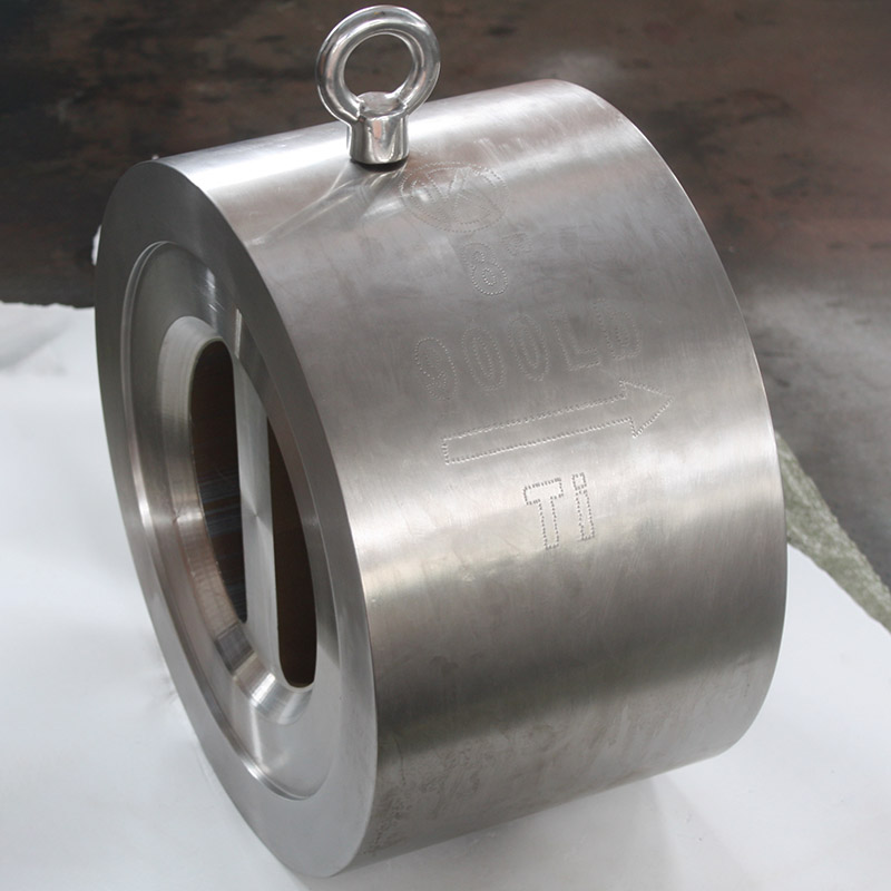 Titanium Wafer Check Valve