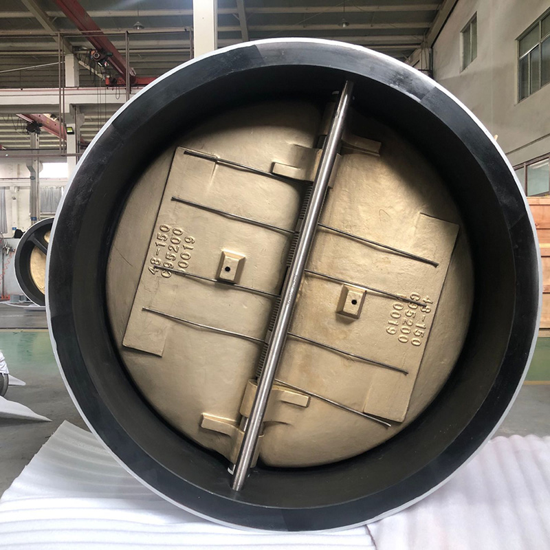 Wafer Large Size Check Valve