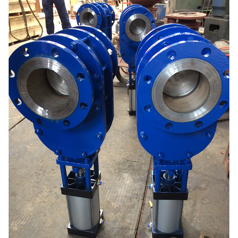 Wear-resistant Gate Valve
